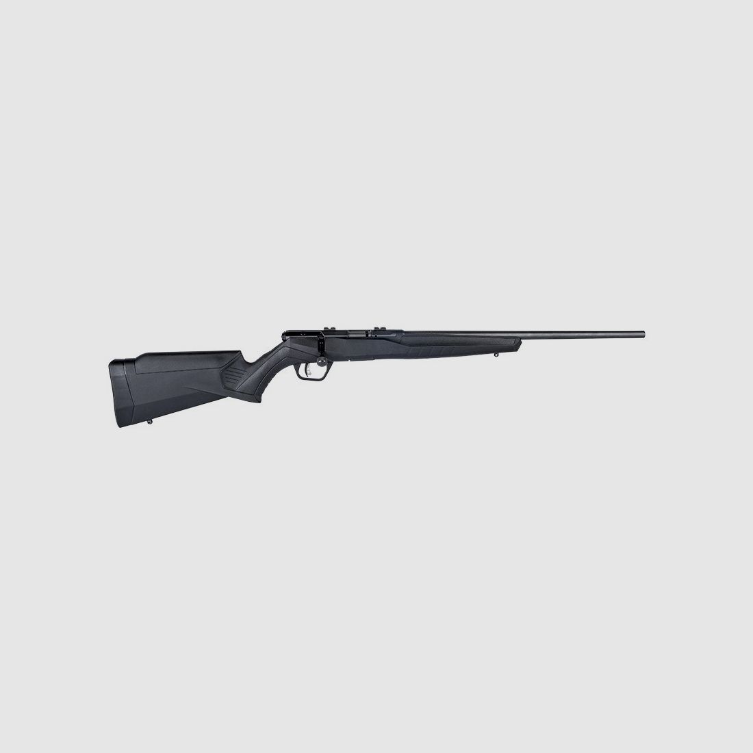 SAVAGE B22 F .22LR NEU, Bild 1 von 3