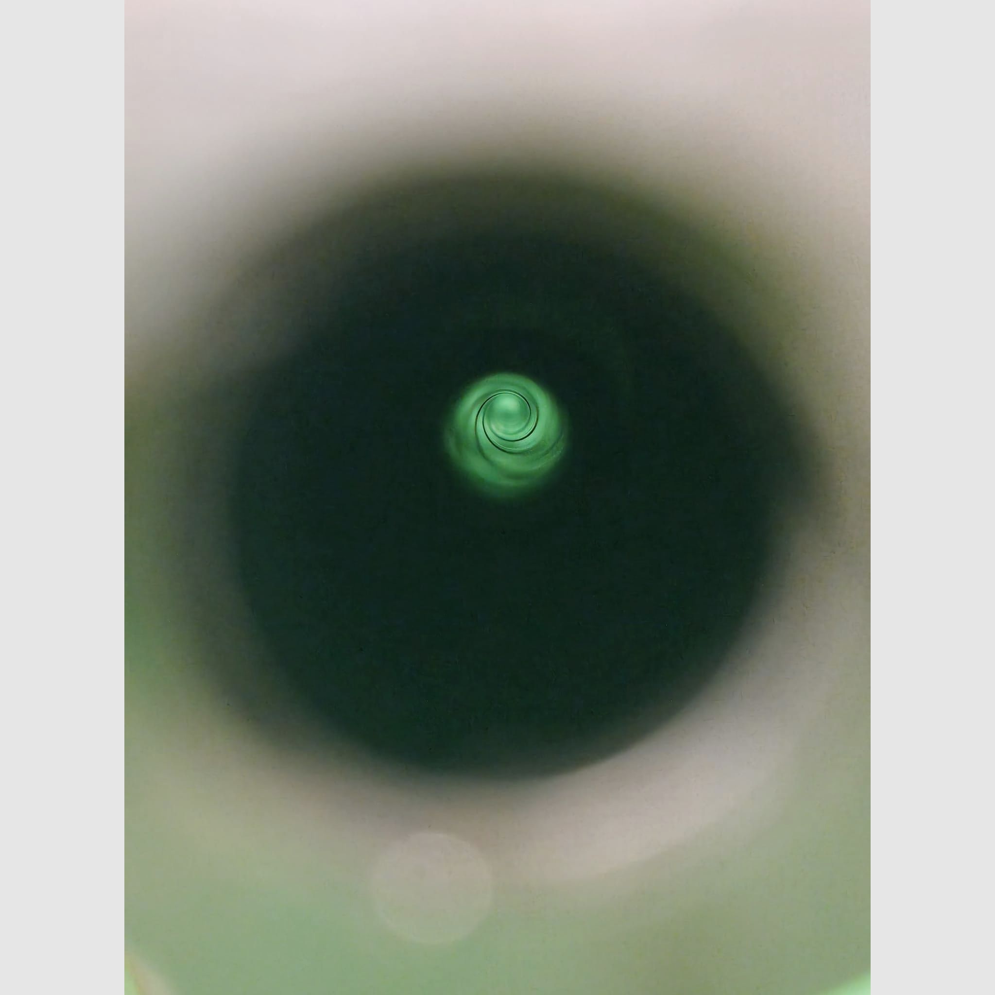 Sauer 54 BBF 7x65R avec lunette de visée