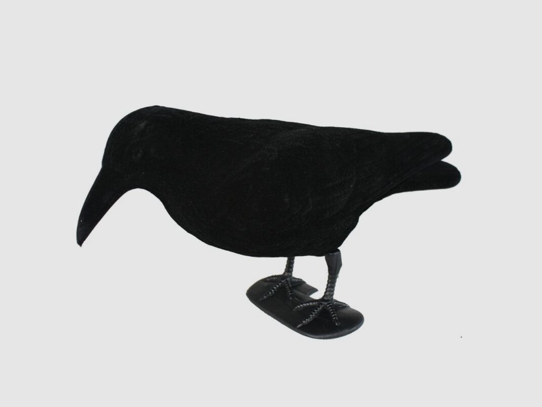 Krähenjagd-Set: 10 x Flock-Lockkrähe 10 x Flock-Halbschale + Lockschmiede Krähenlocker
