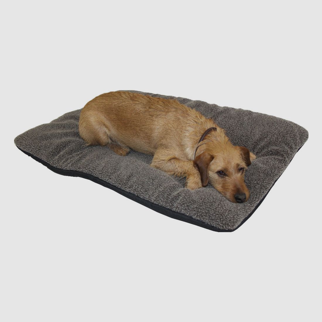 Dog thermal bed