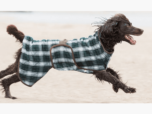 Siccaro Splash abrigo seco para perros