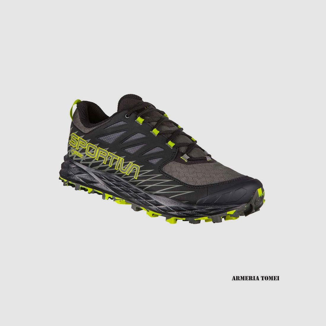 SCHOENEN – HEREN – LA SPORTIVA – LYCAN GTX Carbon/Apple Green, afbeelding 1 van 5