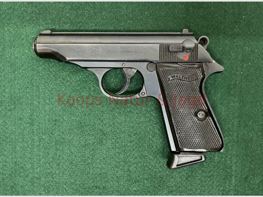 Walther PP