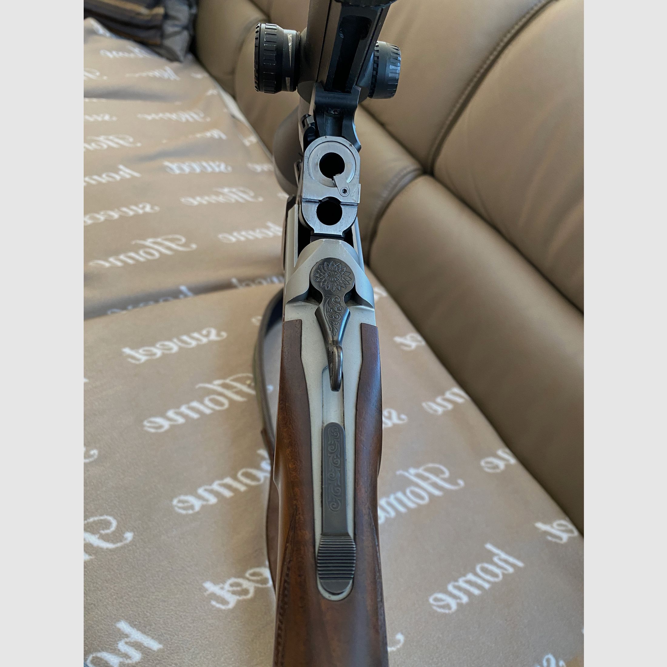 Blaser BBF 95 mit Einstecklauf und Zeiss Leuchtpunktvisier 