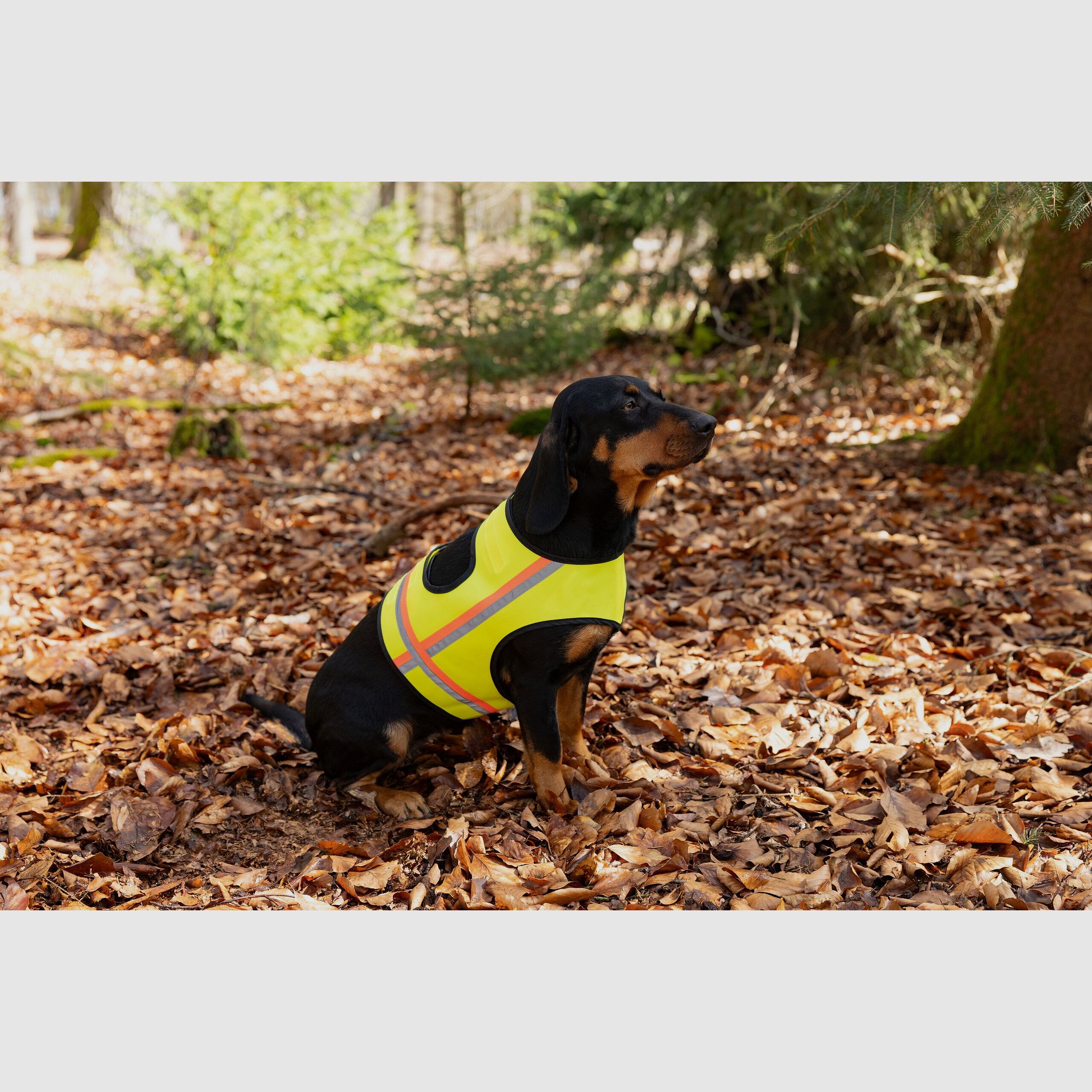 Nordforest Hunting Hundewarnweste