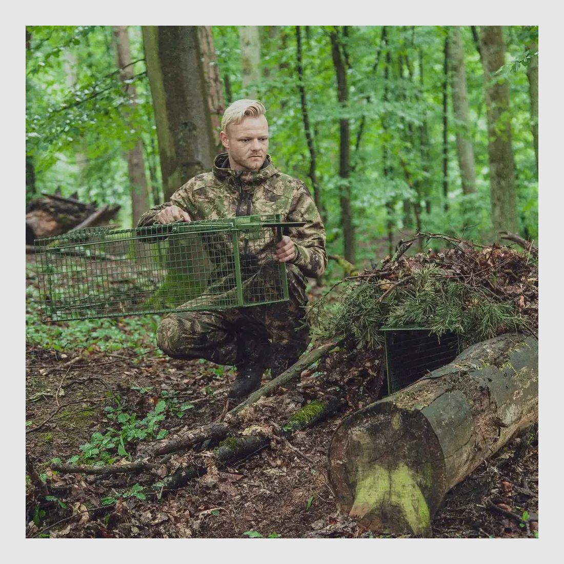 Frankonia trap live catch – single door folding doors