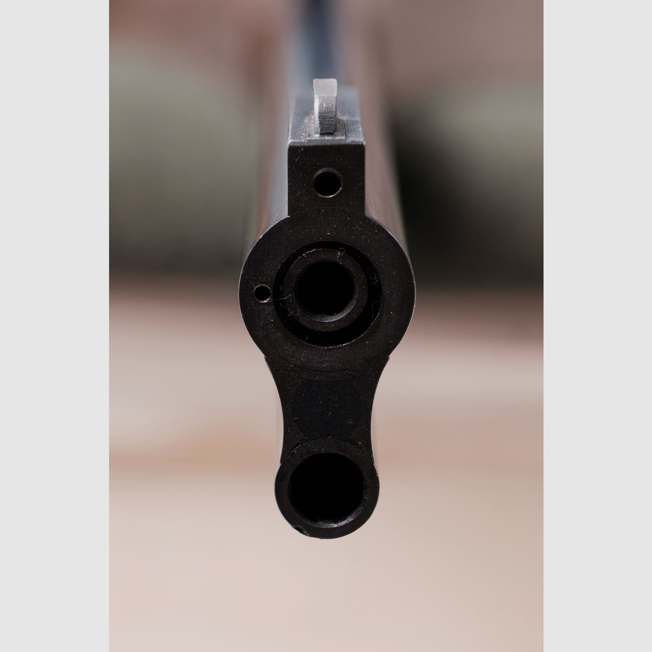 Blaser 75 Bergstutzen .30-06 Spring. , 5,6 x 50 Mag.