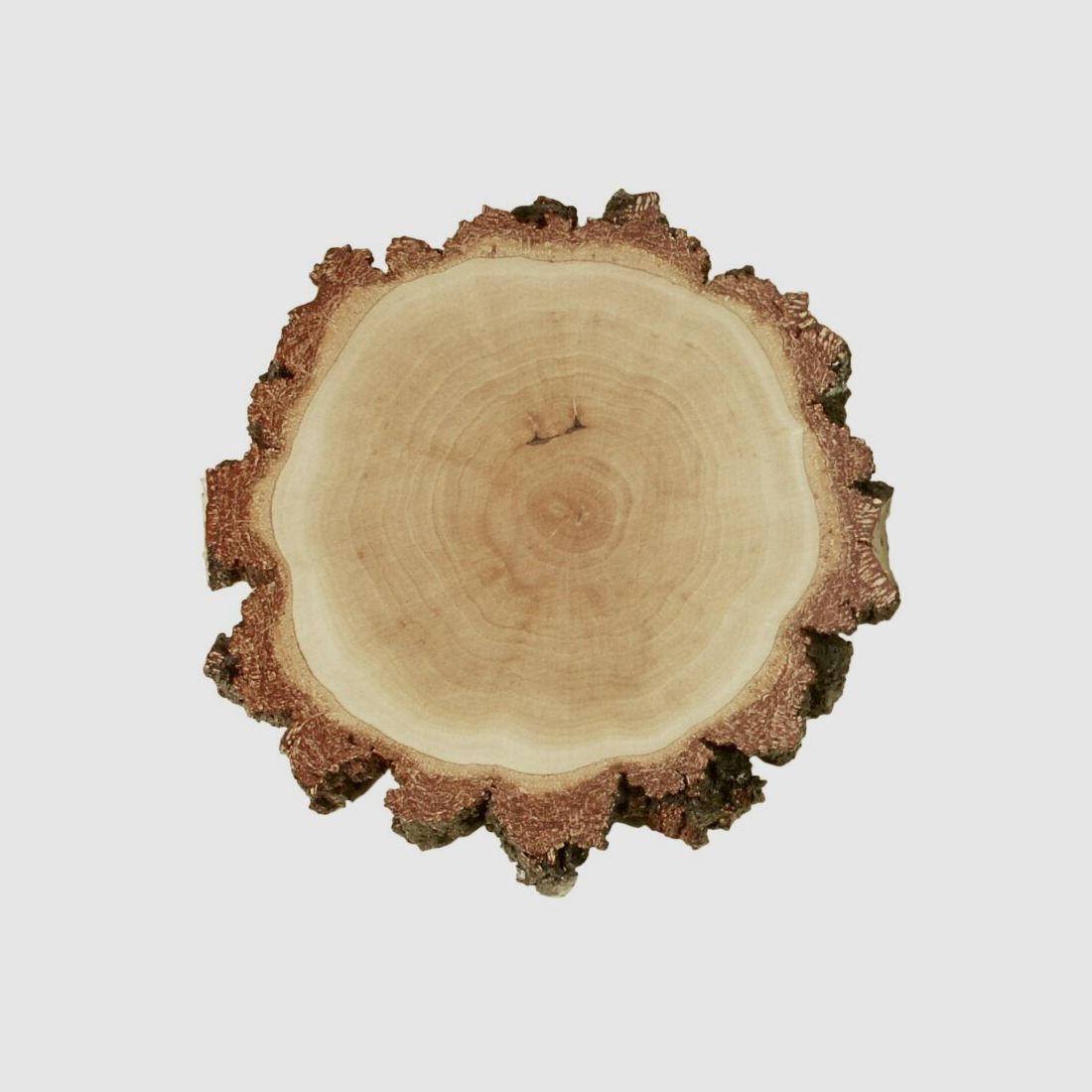 Birkenschild rund ca. 15cm