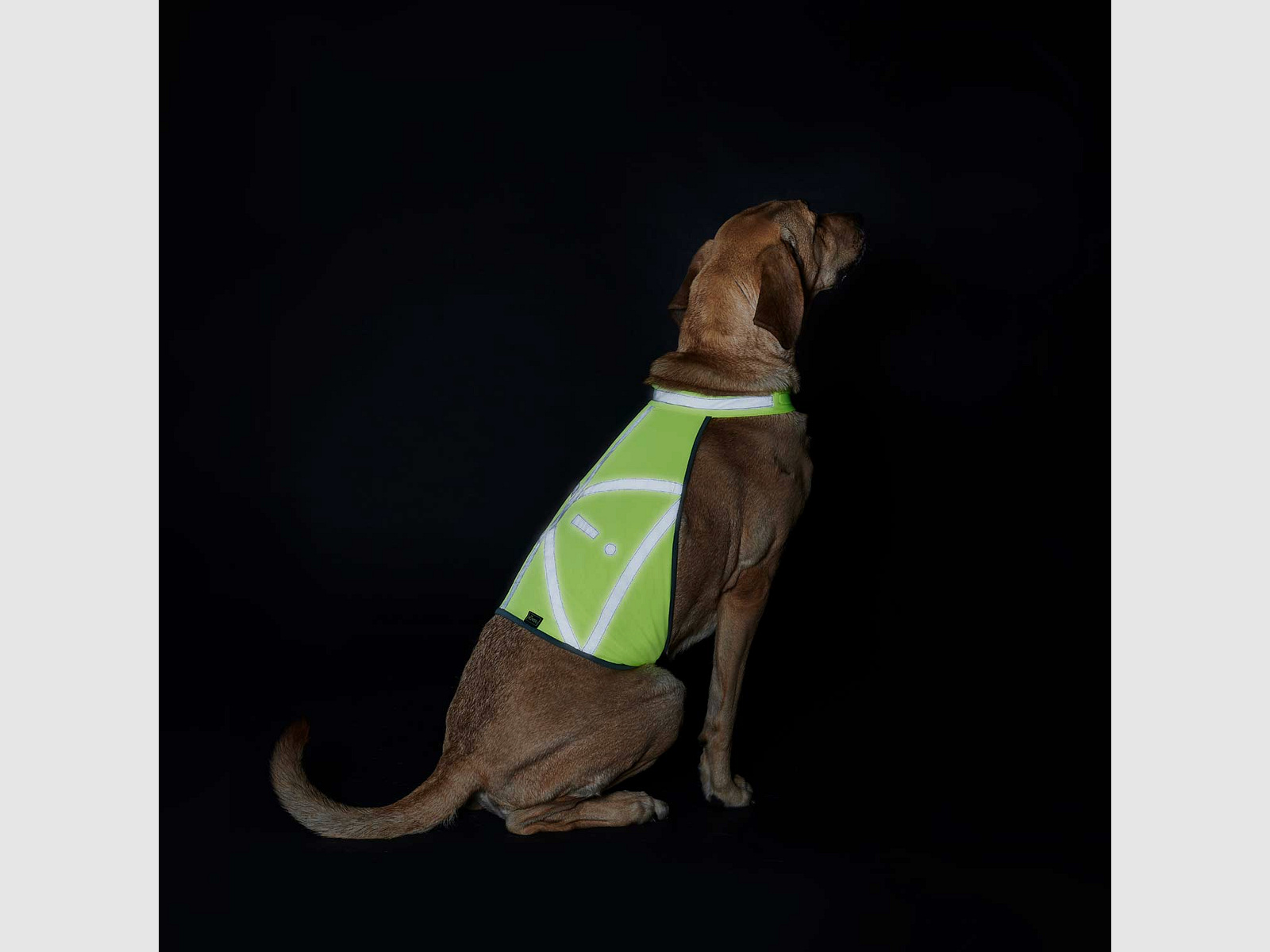 Hunter Warnweste für Hunde