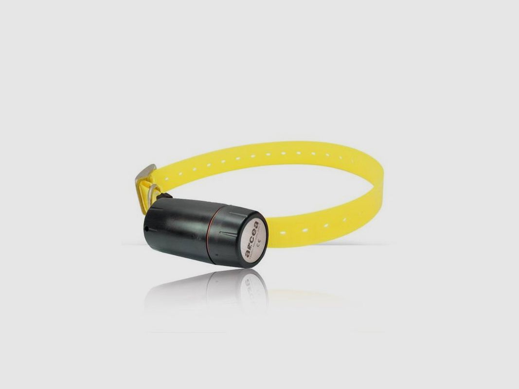 Beeper Conik