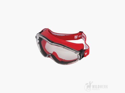 Würth Gafas de seguridad de visión completa Andromedar