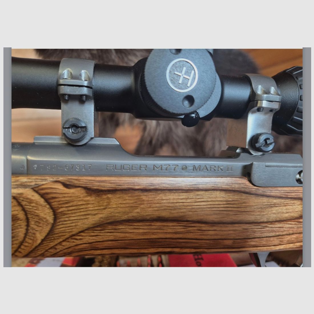 Ruger M77 MK2 VT Varmint/Target SS 223 REM in very good condition Harris Ultra Light bipod, image 4 of 10