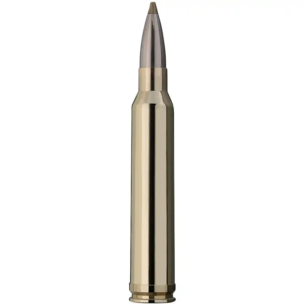 RWS .300 Win. Mag. Evolution Green 9,0 g/139 grs., image 2 sur 6