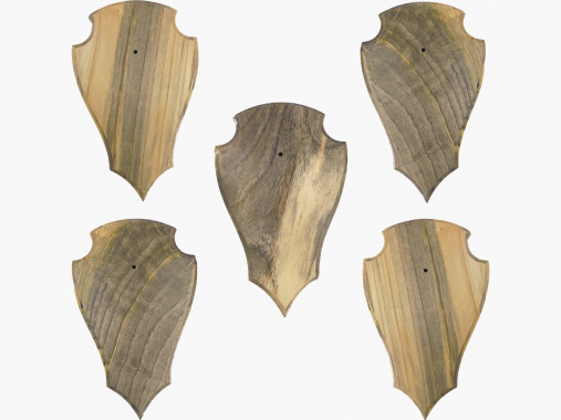 Gewei / Geweihplank (Maat L, 5-delige set) |