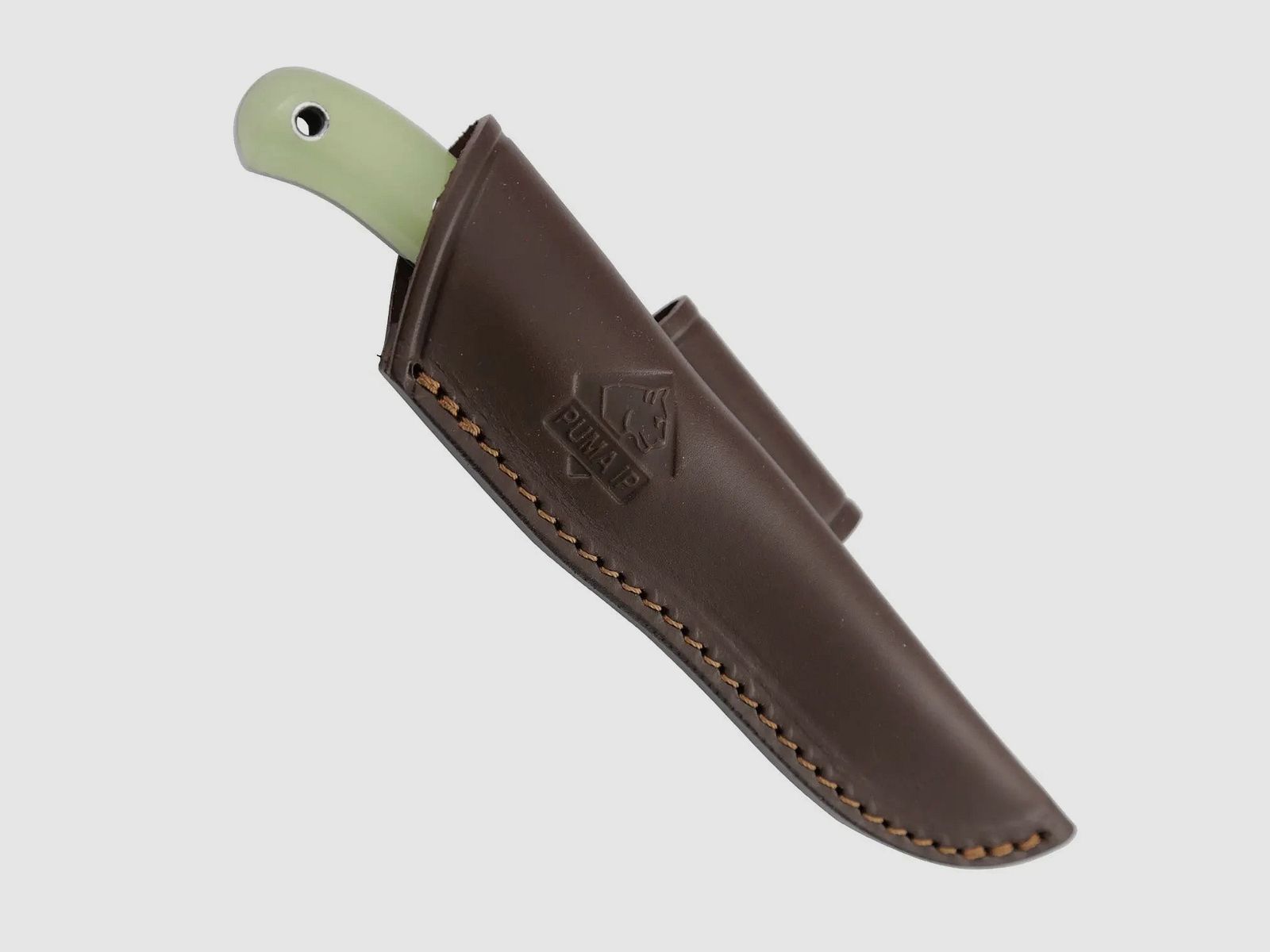 PUMA IP catamount luminous
