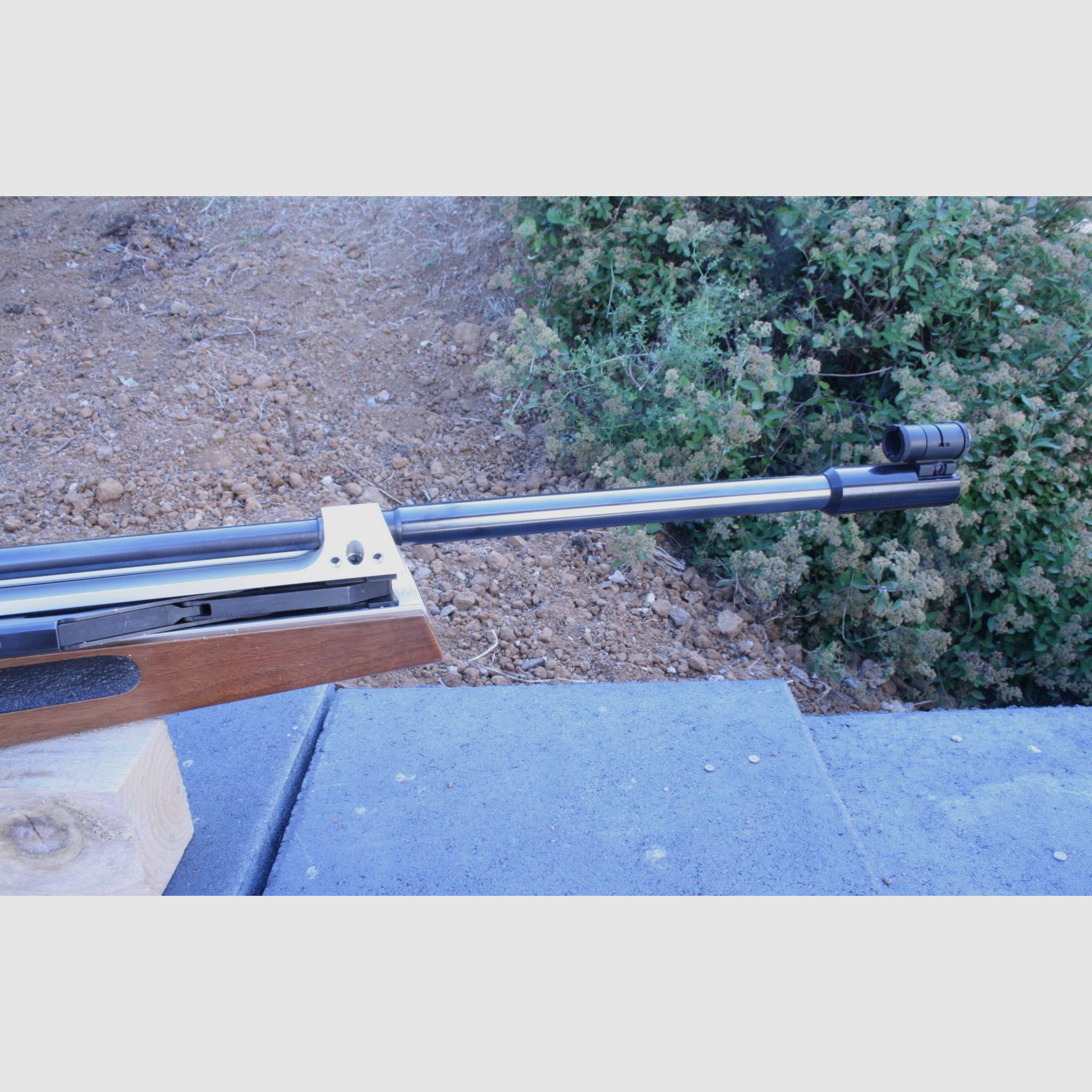 Luchtgeweer Walther LG 90