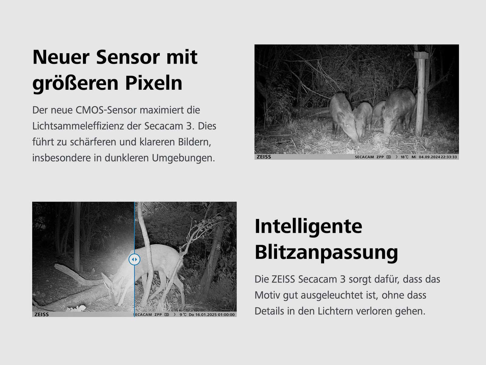 ZEISS Secacam 3 Wildkamera mit Sendefunktion 60 Grad Sehfeld 25m Blitzreichweite