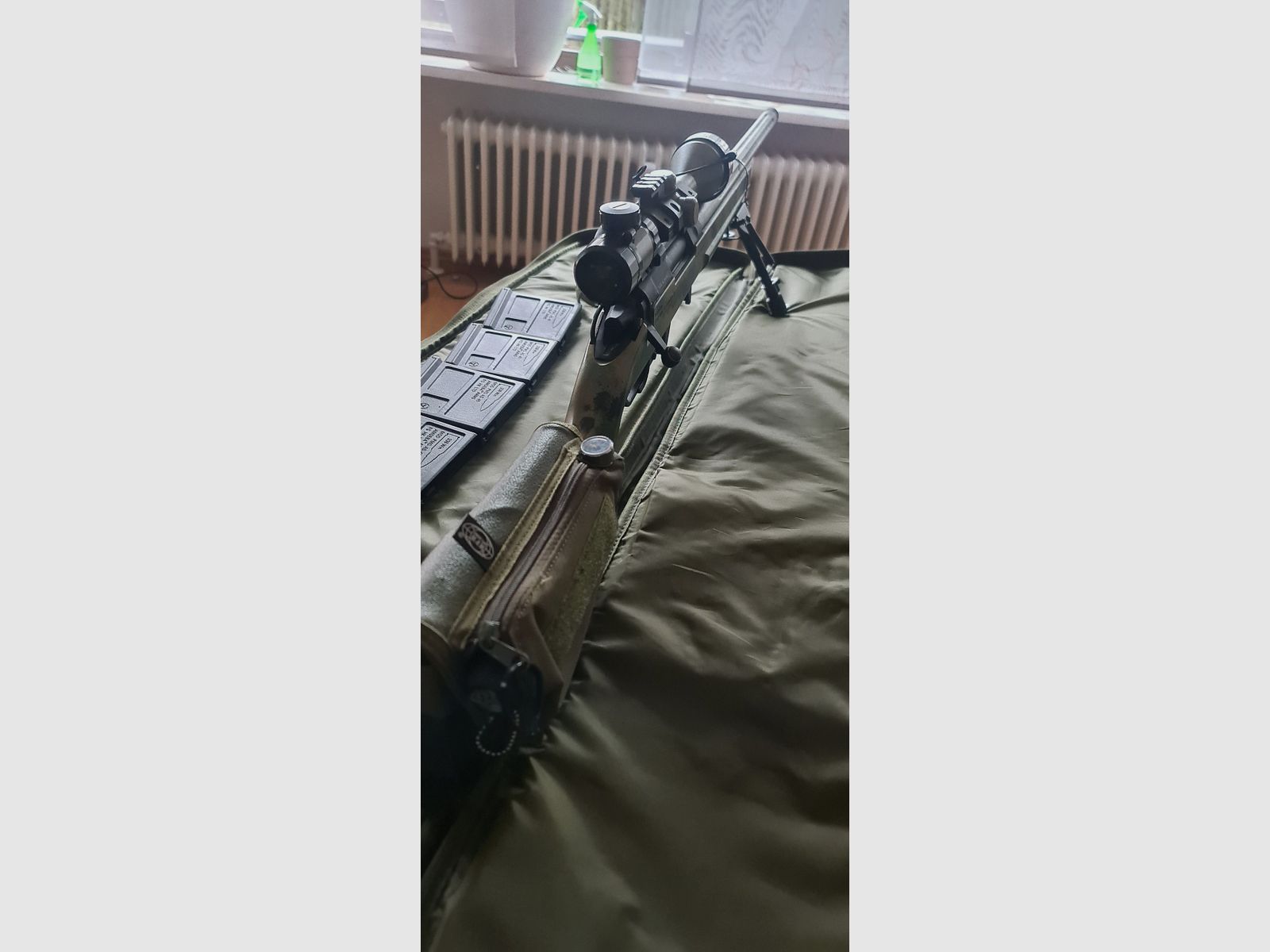 Ares Striker S1 | Conversion CO2 | Canon Edgi | etc. dans la description