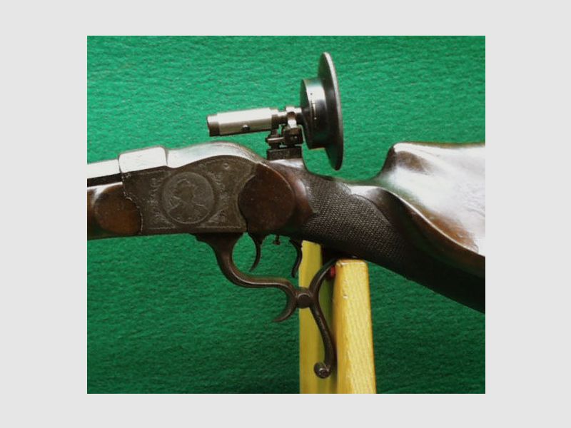 Stiegele room gun