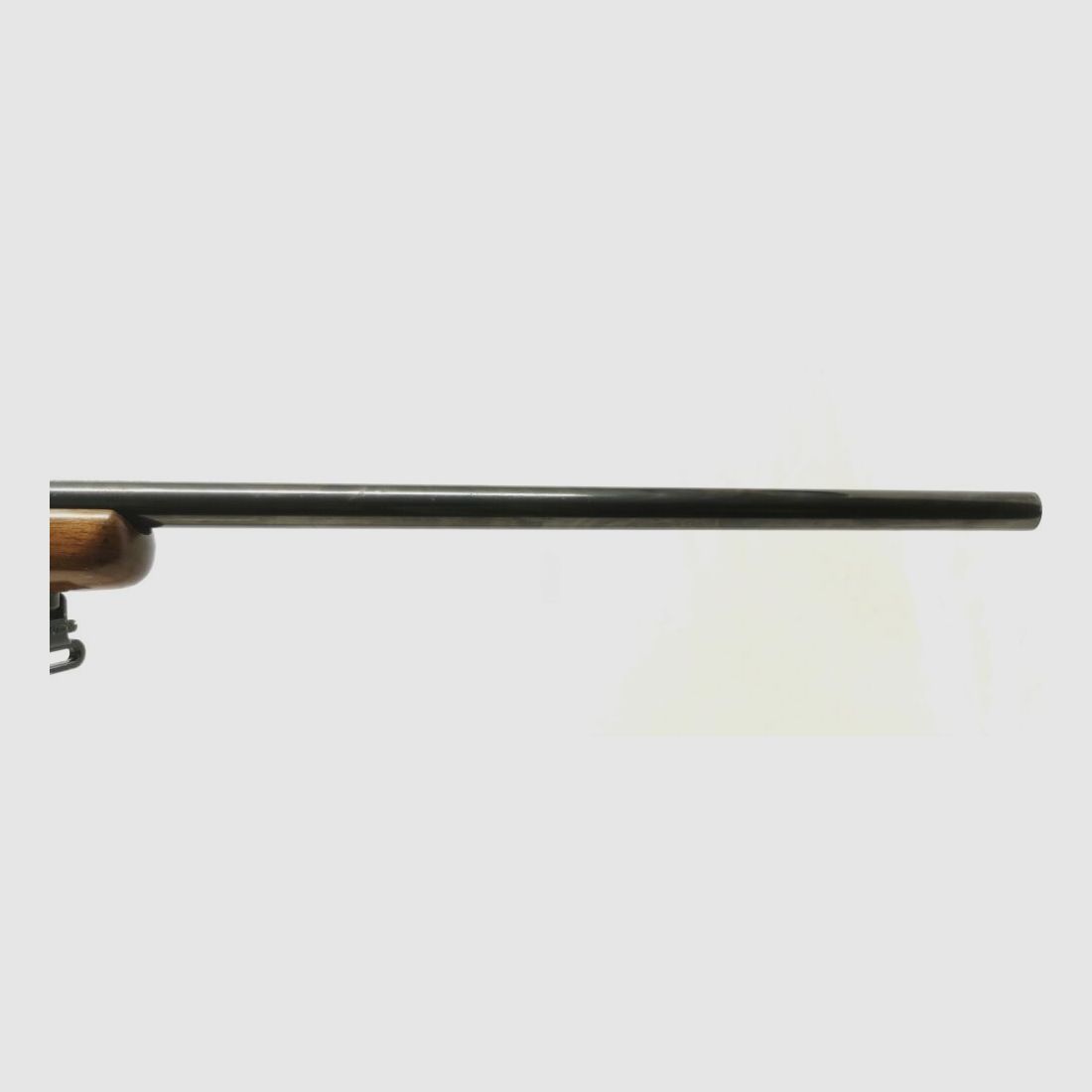 Ruger M77