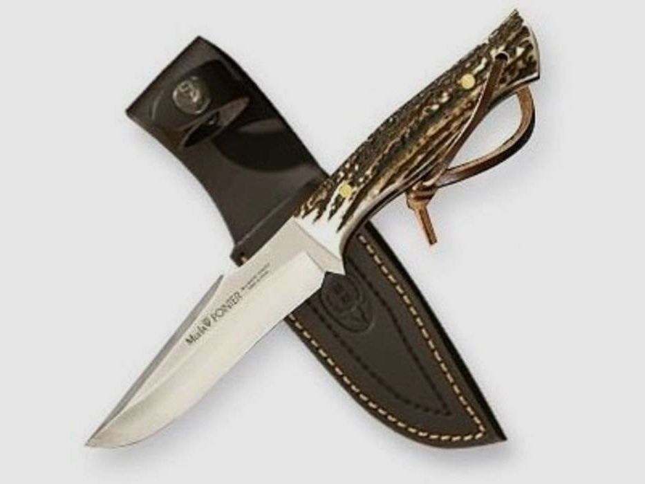 MUELA POINTER-13A