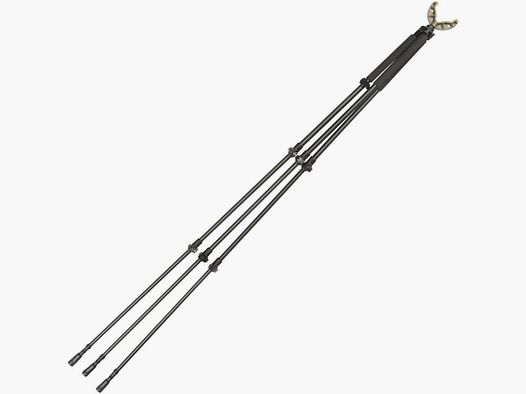 Allen Zielstock Axial