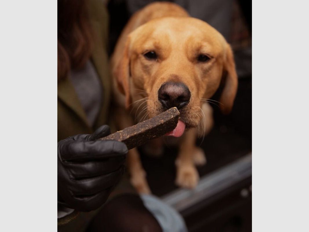 Essential Foods Finest Riegel Lamm, Wild & Süßkartoffel 3 Stück