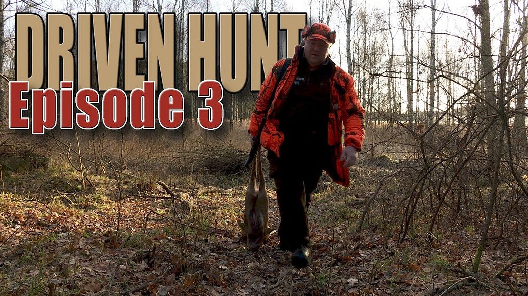 DRIVEN HUNT EPISODE 3 - Lead free ammunition for deer and wild boar- Drückjagd - Drevjakt