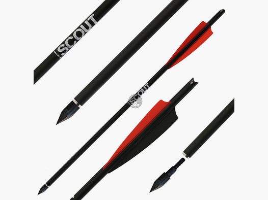 Armbrustbolzen | X-BOW FMA Scout - Bodkin - 16 Zoll - Hybridbolzen | Spitze: 100gr