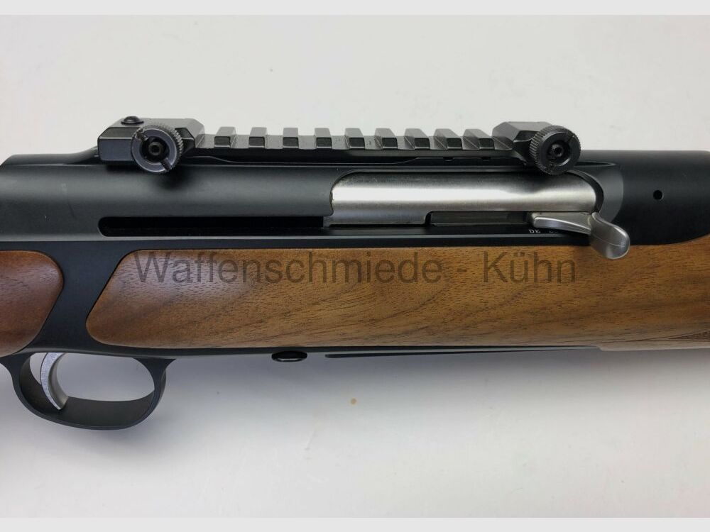 Sauer 303