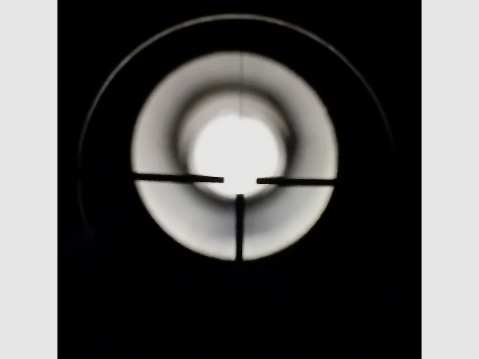 Diana 350 Magnum Premium 