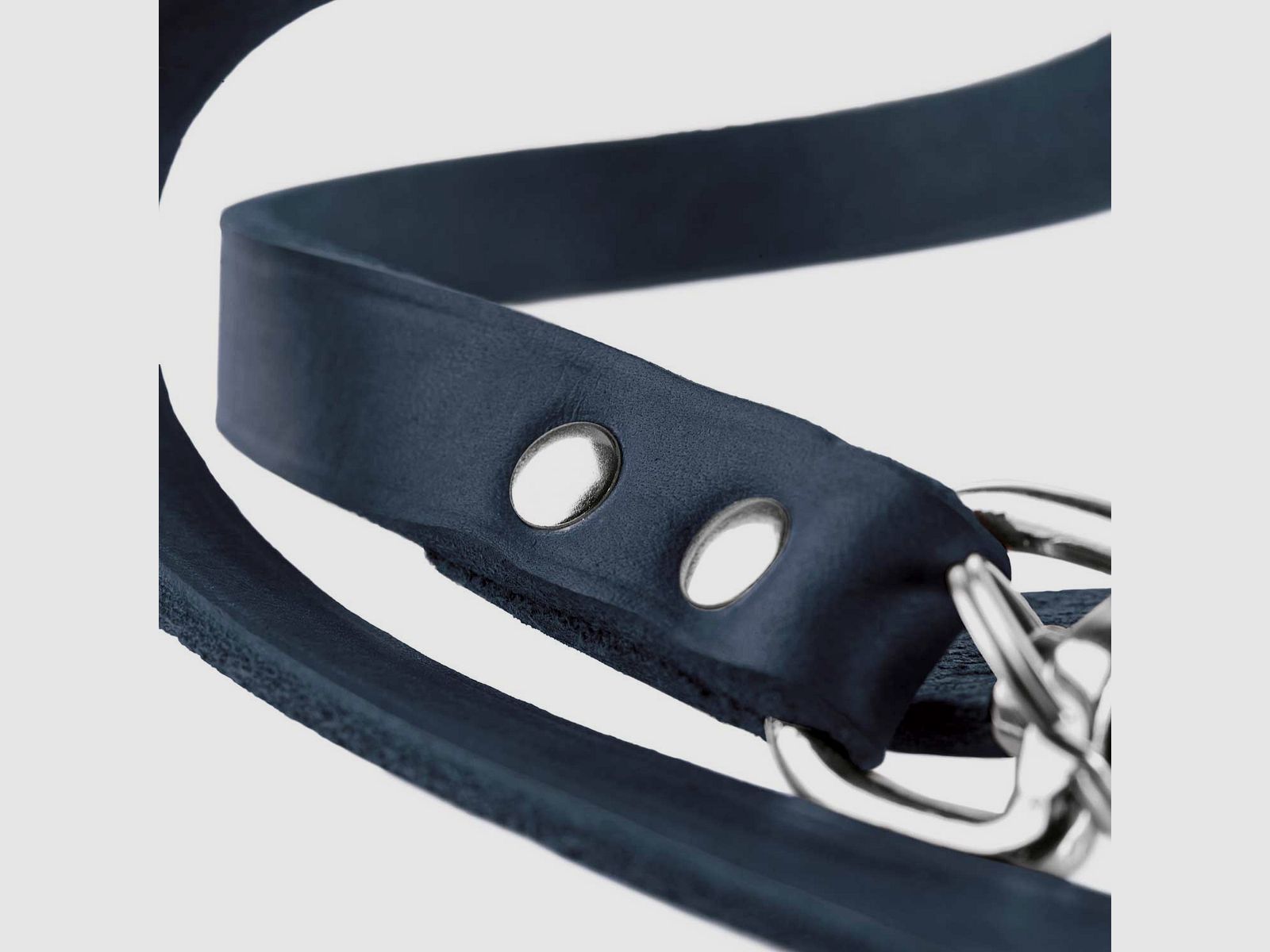 Hunter adjustable dog leash leather