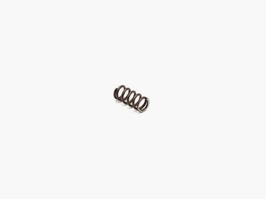 Eemann Tech Extractor Spring for Walther P99-PPQ
