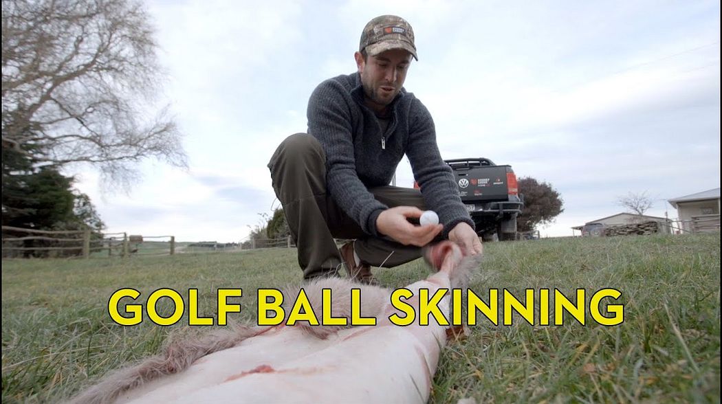 Skinning a Deer with a Golf Ball and an Amarok