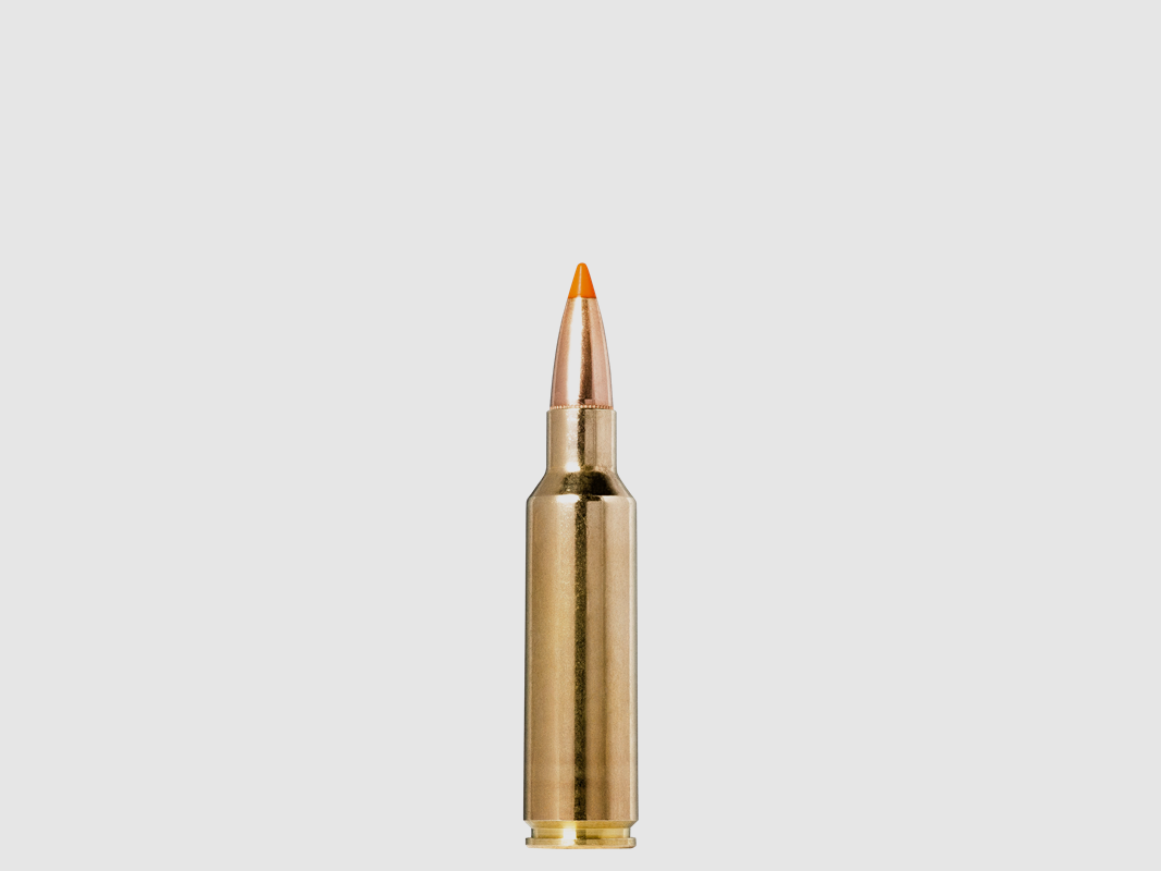 NORMA .300 WSM Tipstrike 11g/170gr, immagine 2 di 2