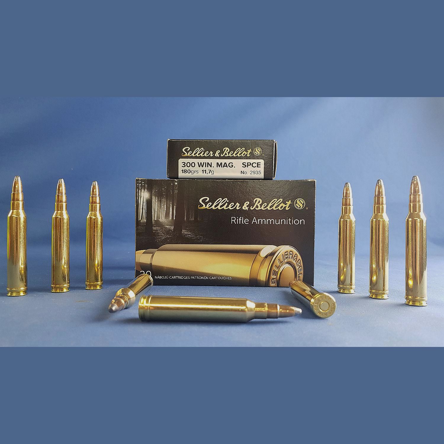 Sellier & Bellot .300 Win. Mag. Teilmantel SPCE 11,7g/180grs.