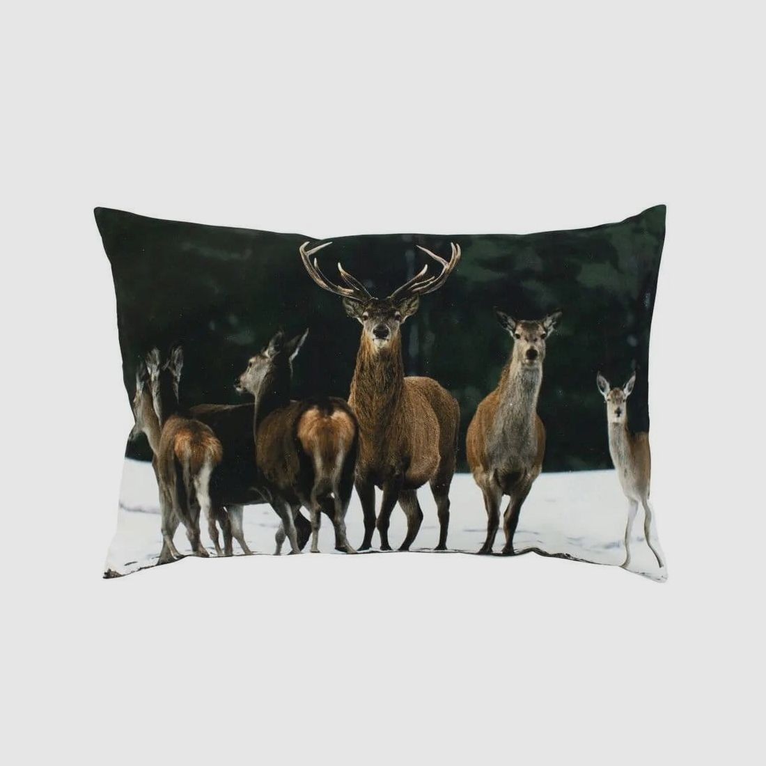 LivingActive Kissen Hirsch Herde