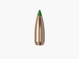 Geschosse Kal. 30-168-Spitzer Nosler Ballistic Tip (5