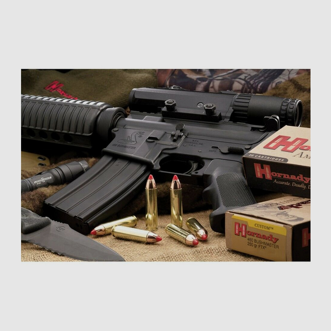 Hornady	 250grs FTX 20STK .450Bushmaster