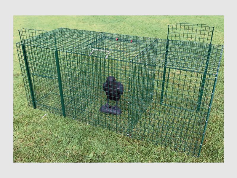 Universal bird trap