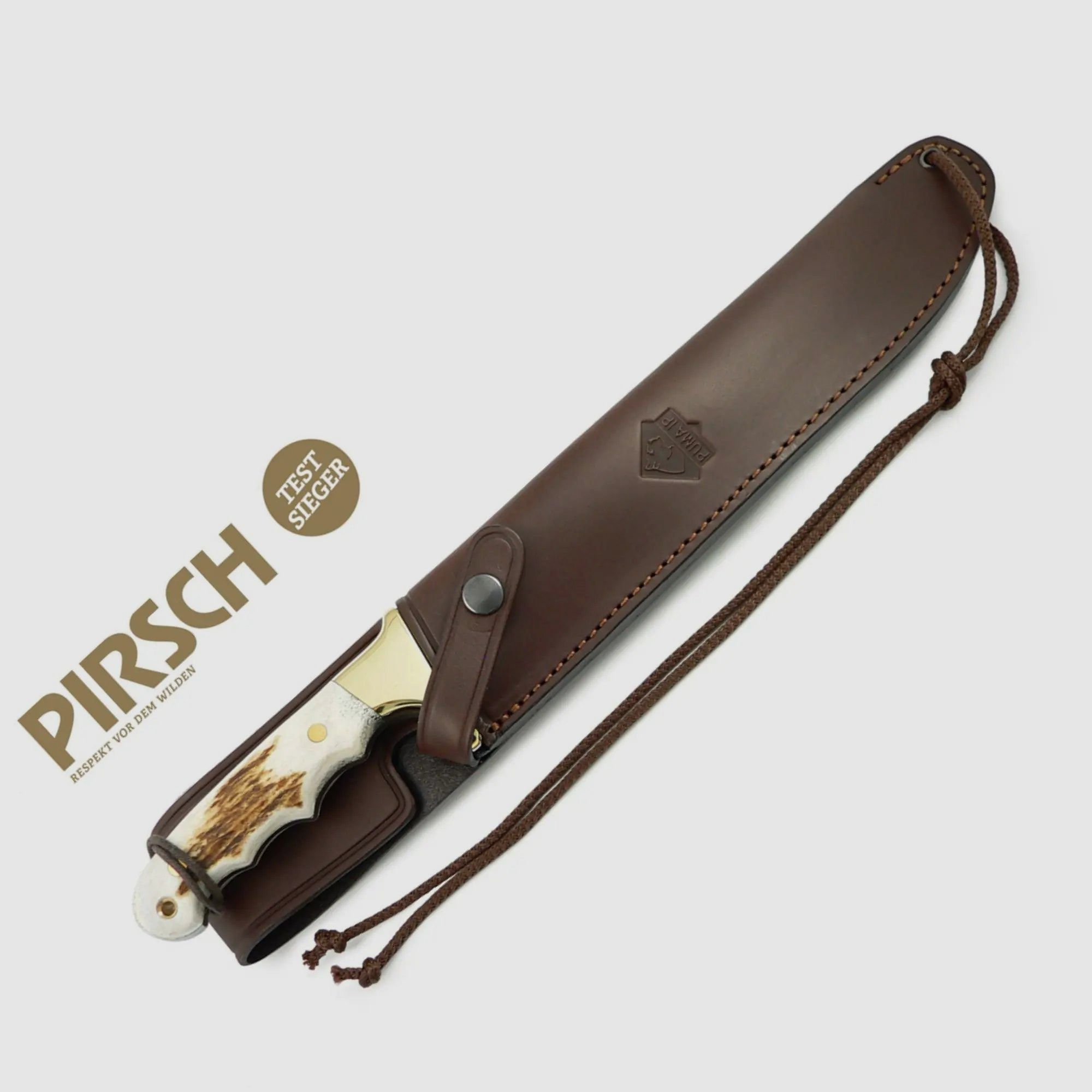 PUMA IP longhorn, stag