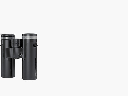 PASSION™ SD 10x34