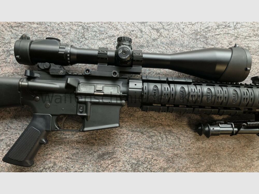 DPMS / Shilen / AR15 personalizzato