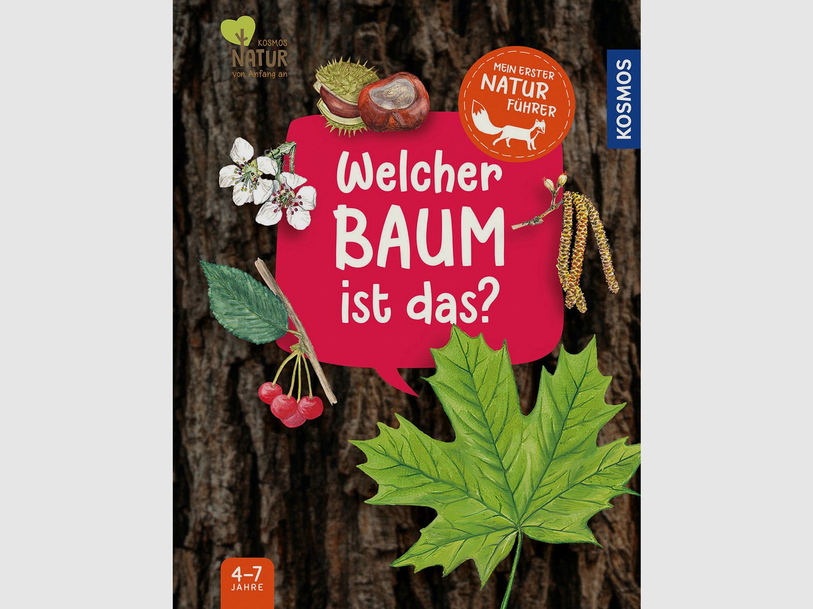 Mein erster Naturführer – Welcher Baum ist das?