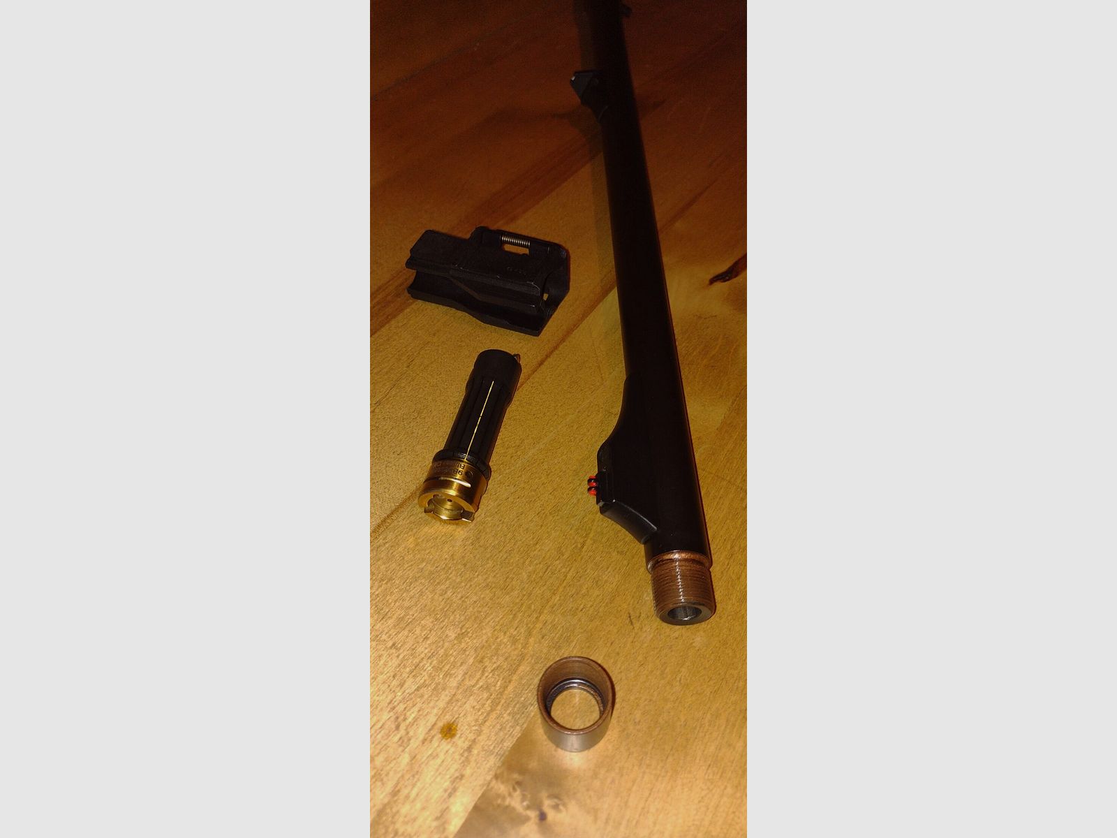 Blaser R93 con WL