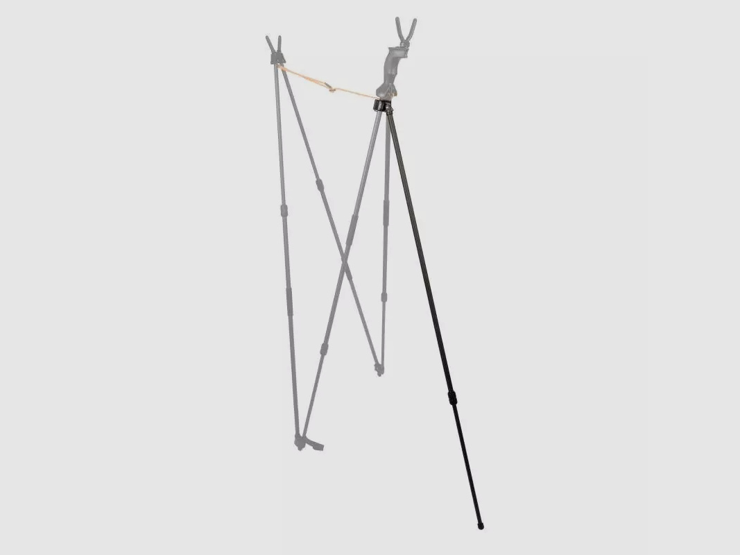 Blaser Carbon Stick
