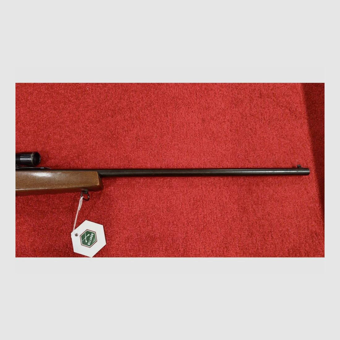 Savage Model 845 .22lr