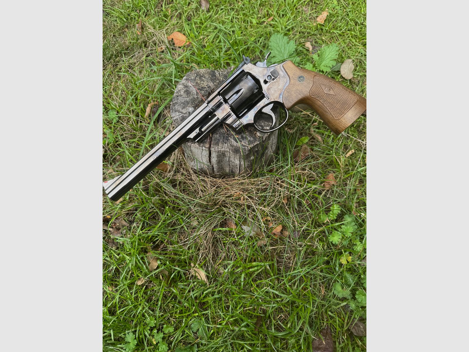 Smith & Wesson M 29 CO2 Revolver bb+Diabolo 1x Used