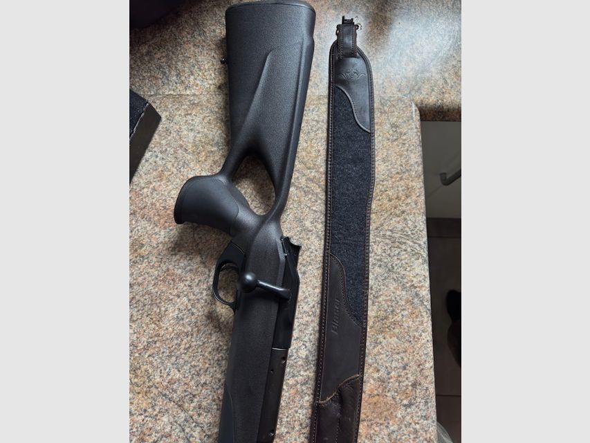 Blaser R8 Professional Success