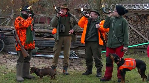 Drückjagd (Treibjagd) 2012 auf dem Thomashof - Karlsruhe